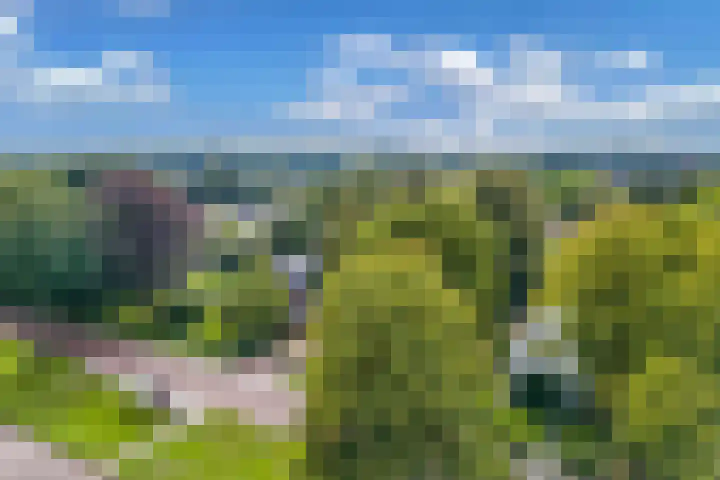 Dr.Mulderstraat 9 Noordwolde thumbnail 7