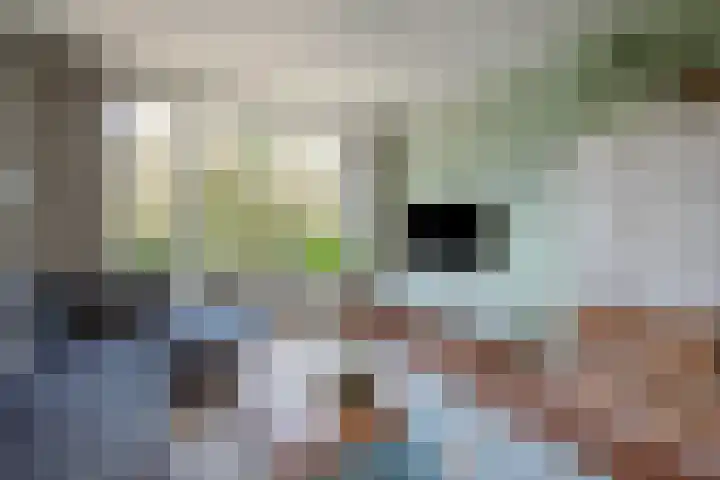 Dr N. Adrianistraat 19 Rijswijk thumbnail 9