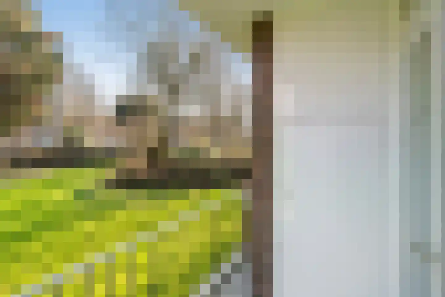 Dr N. Adrianistraat 31 Rijswijk thumbnail 15