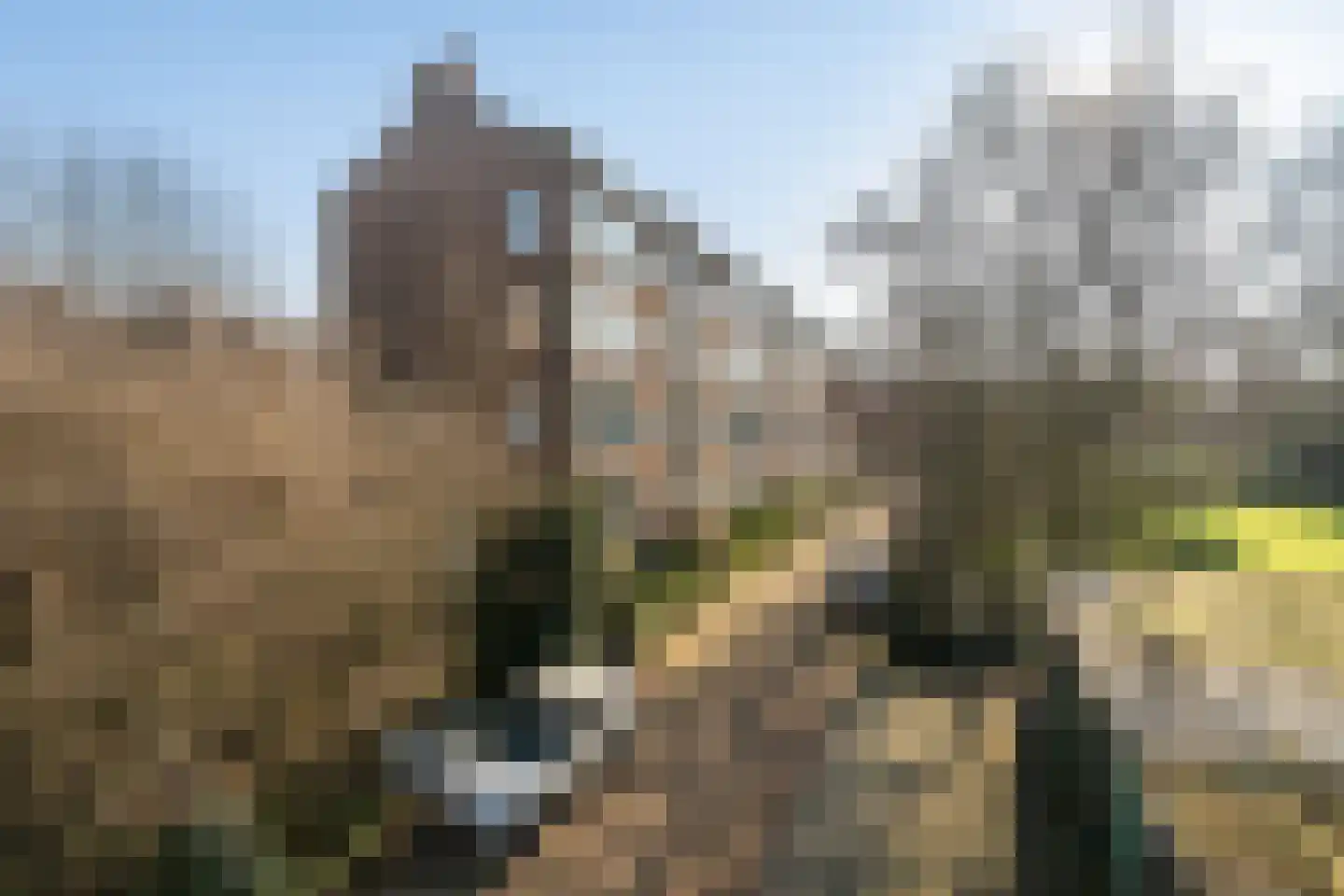 Dr N. Adrianistraat 31 Rijswijk thumbnail 19