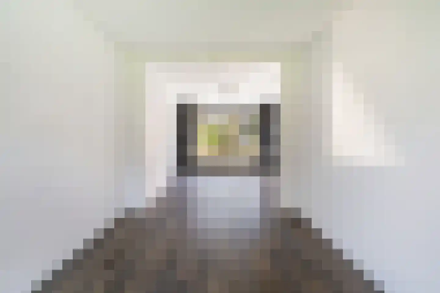 Dr N. Adrianistraat 31 Rijswijk thumbnail 5