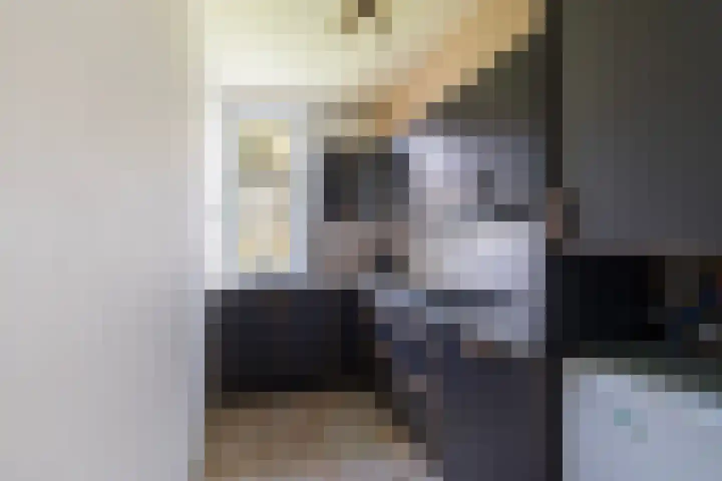 Dr N. Adrianistraat 31 Rijswijk thumbnail 7