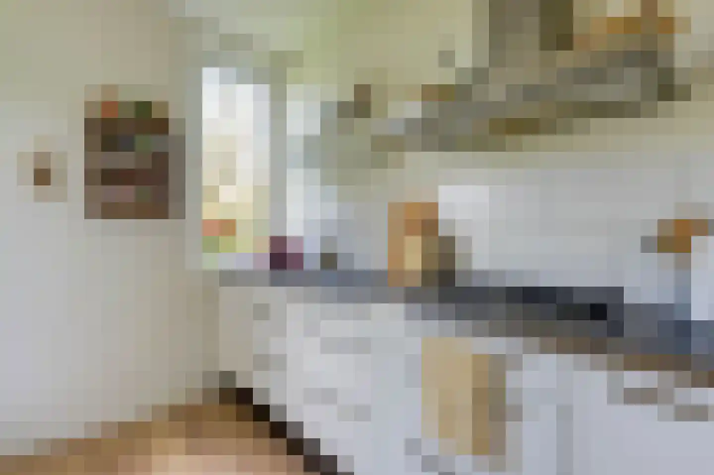 Dr N. Adrianistraat 35 Rijswijk thumbnail 14