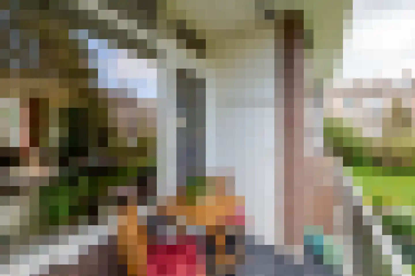Dr N. Adrianistraat 35 Rijswijk thumbnail 15
