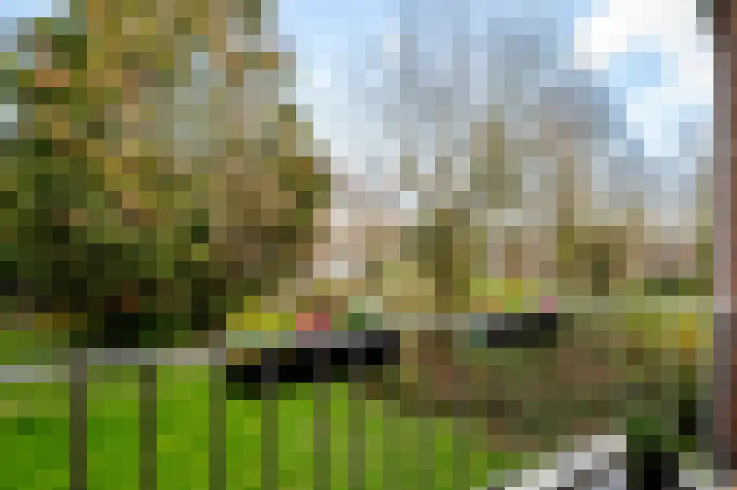 Dr N. Adrianistraat 35 Rijswijk thumbnail 16