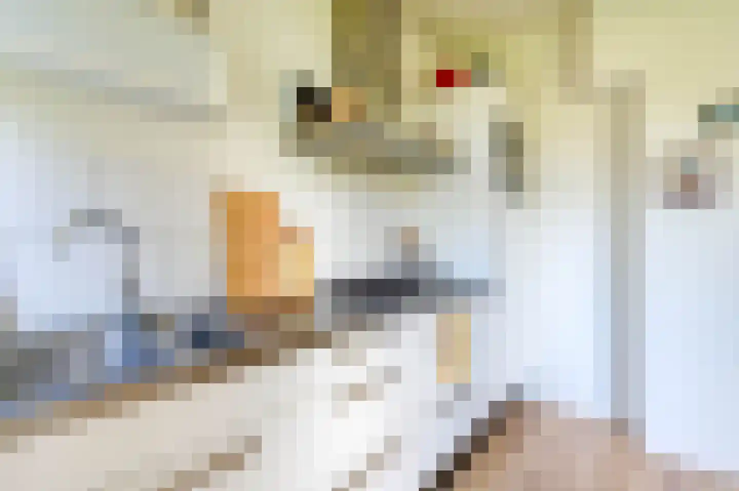 Dr N. Adrianistraat 35 Rijswijk thumbnail 20