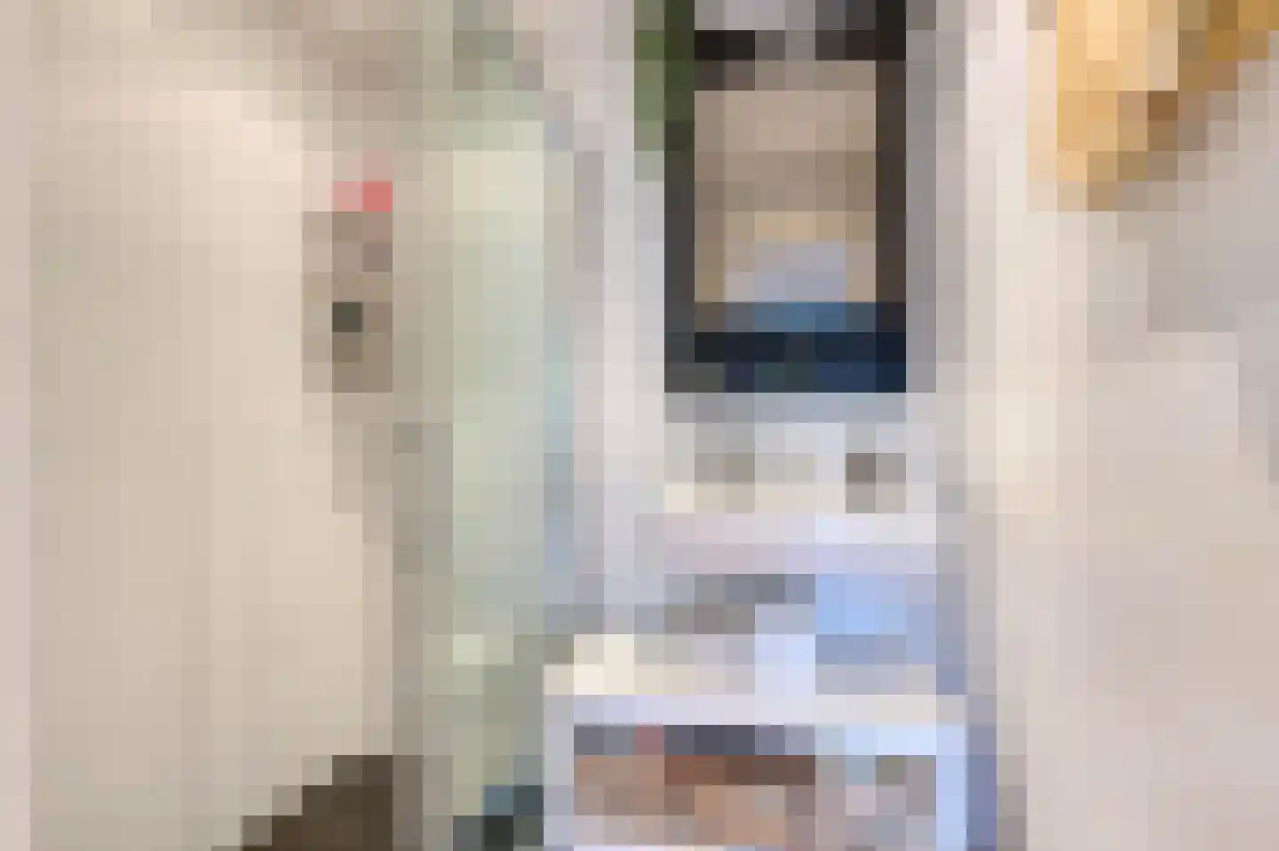 Dr N. Adrianistraat 35 Rijswijk thumbnail 28
