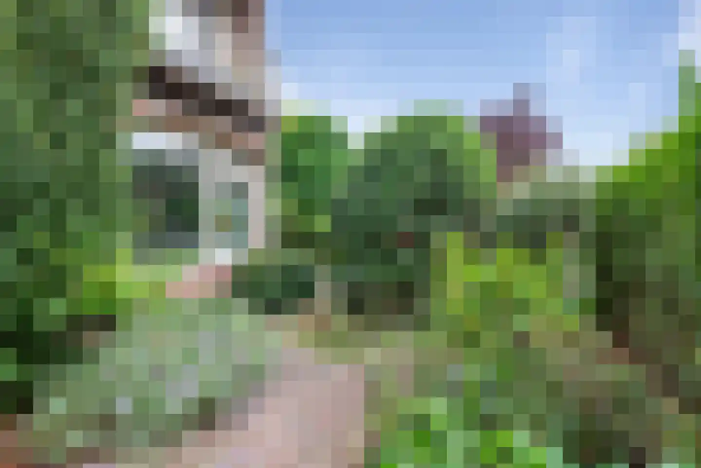 Dr. N.G. Piersonstraat 3 Heemstede thumbnail 39