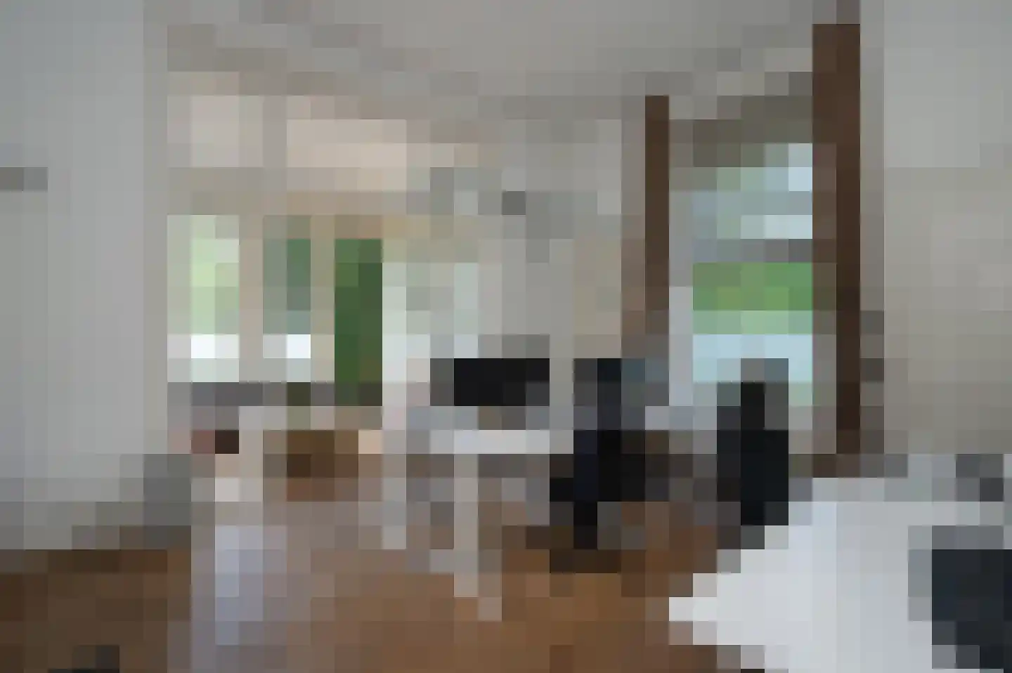 Dr. Nassaulaan 9 Assen thumbnail 11