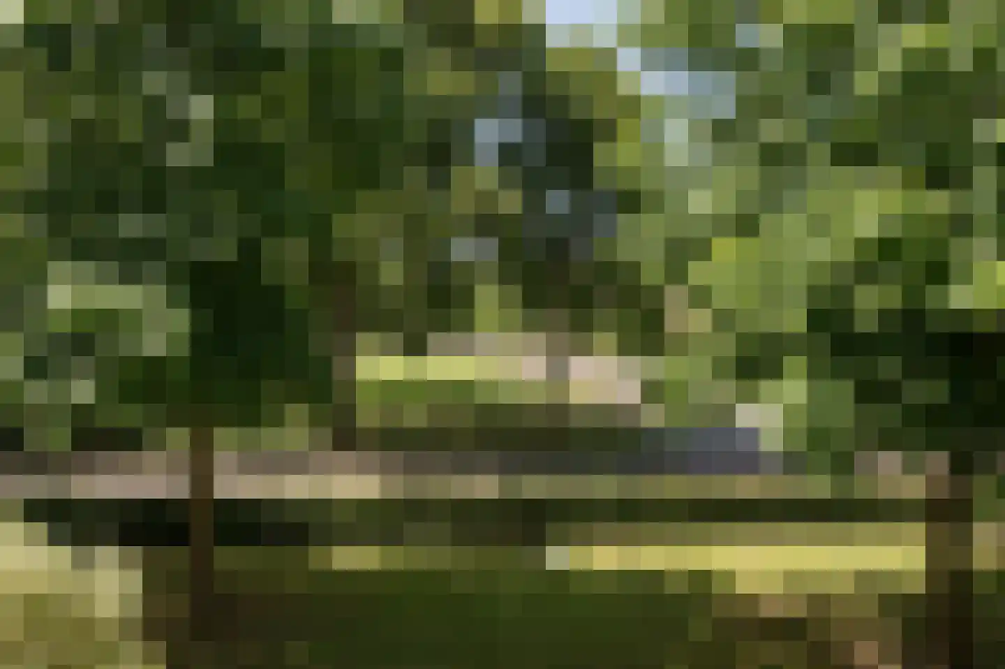 Dr. Nassaulaan 9 Assen thumbnail 18