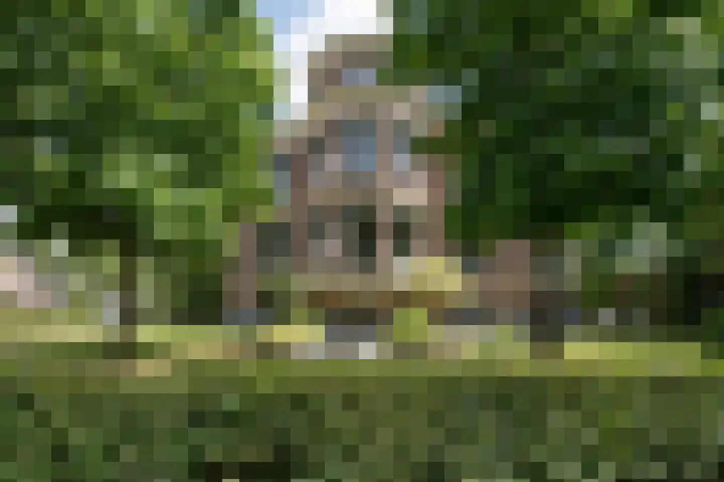 Dr. Nassaulaan 9 Assen thumbnail 49