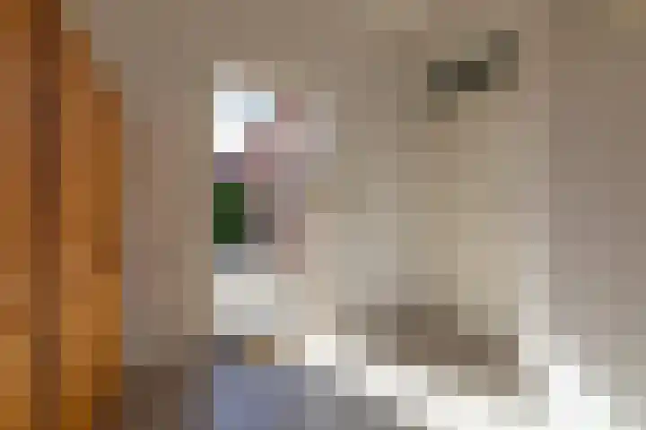 Dr. Nic. Radbodusstraat 5 Dokkum thumbnail 21