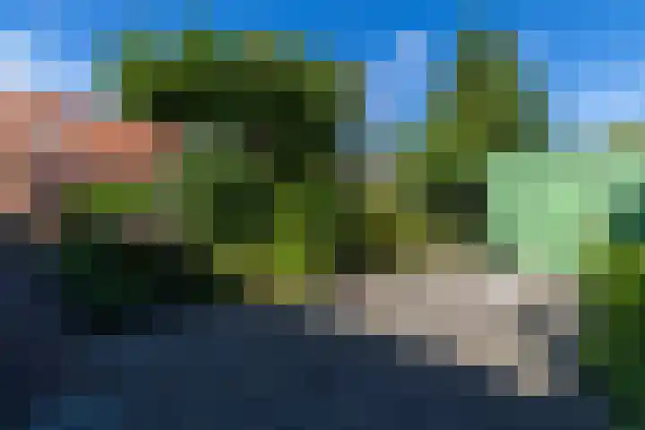 Dr. Nic. Radbodusstraat 5 Dokkum thumbnail 47
