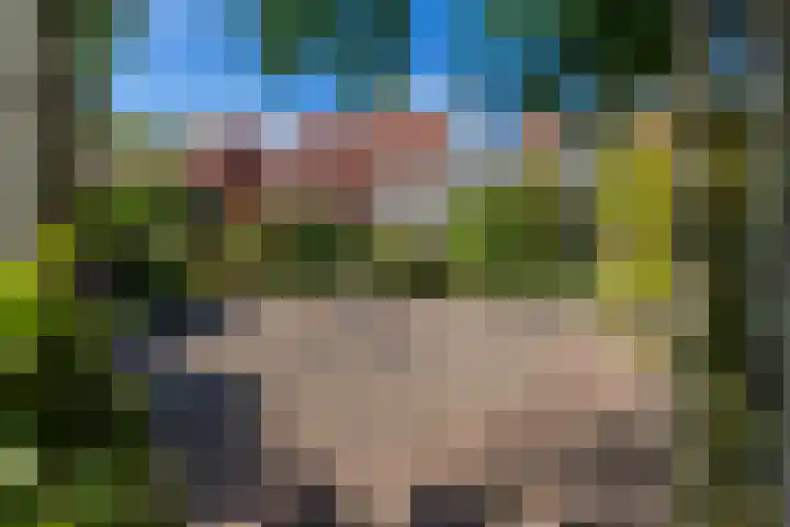 Dr. Nic. Radbodusstraat 5 Dokkum thumbnail 48