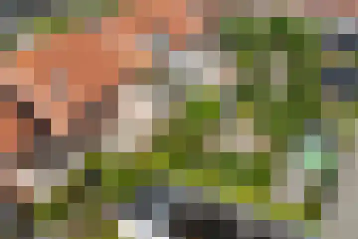 Dr. Nic. Radbodusstraat 5 Dokkum thumbnail 51