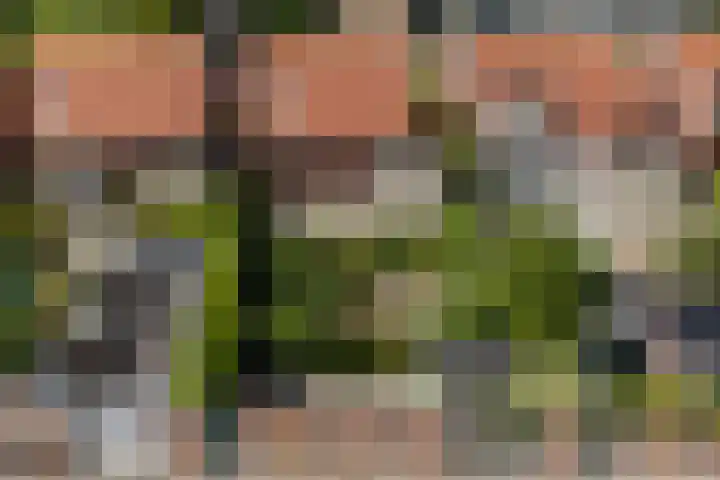 Dr. Nic. Radbodusstraat 5 Dokkum thumbnail 52