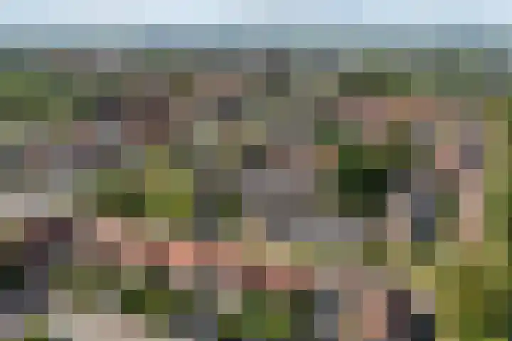 Dr. Nic. Radbodusstraat 5 Dokkum thumbnail 53