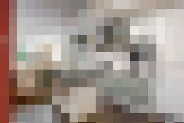 Dr. Nolenslaan 10 Amersfoort thumbnail 16