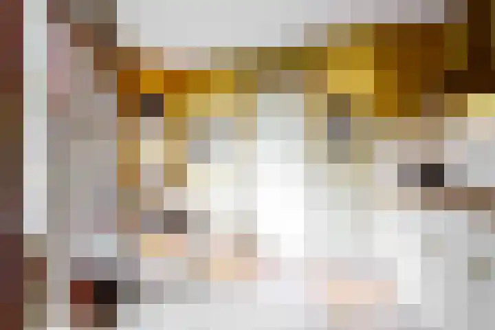 Dr. Nolenslaan 10 Amersfoort thumbnail 22