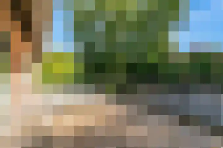 Dr. Nolenslaan 10 Amersfoort thumbnail 38