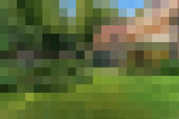 Dr. Nolenslaan 10 Amersfoort thumbnail 40