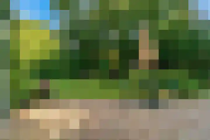 Dr. Nolenslaan 10 Amersfoort thumbnail 41