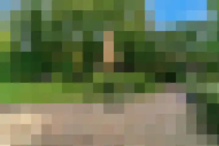 Dr. Nolenslaan 10 Amersfoort thumbnail 42