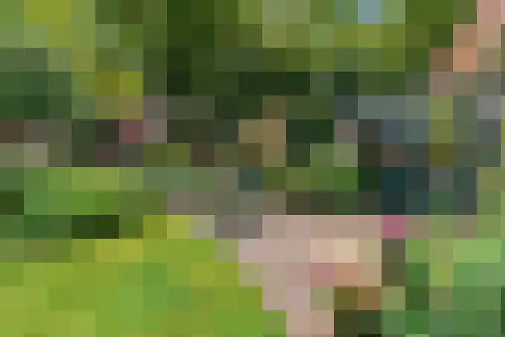 Dr. Nolenslaan 10 Amersfoort thumbnail 43