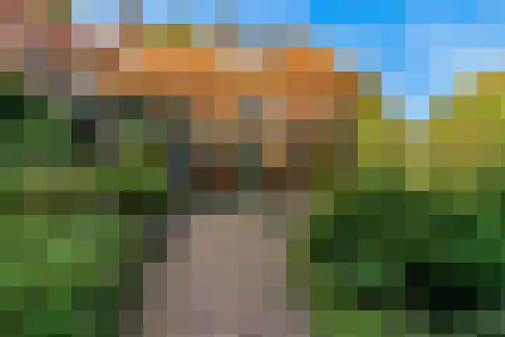 Dr. Nolenslaan 10 Amersfoort thumbnail 47