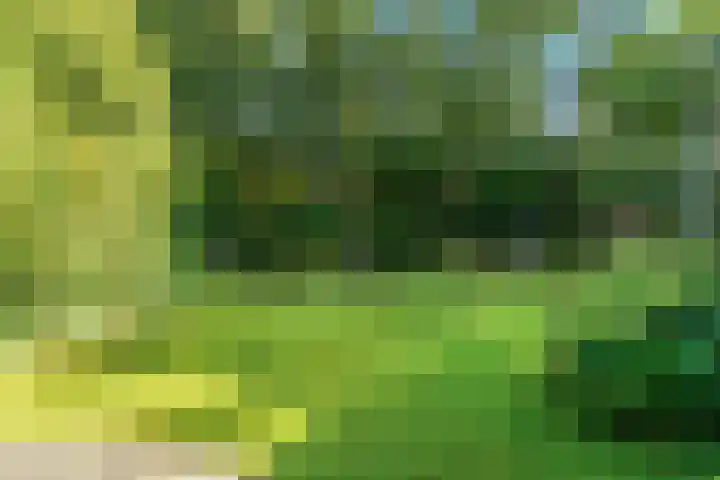Dr. Nolenslaan 10 Amersfoort thumbnail 48
