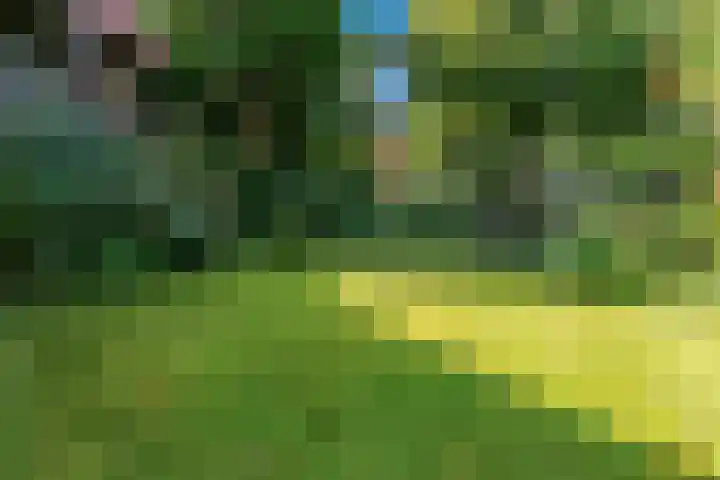 Dr. Nolenslaan 10 Amersfoort thumbnail 49