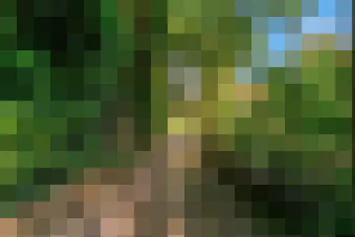 Dr. Nolenslaan 10 Amersfoort thumbnail 51