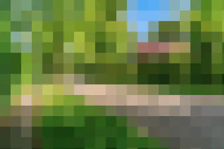 Dr. Nolenslaan 10 Amersfoort thumbnail 54