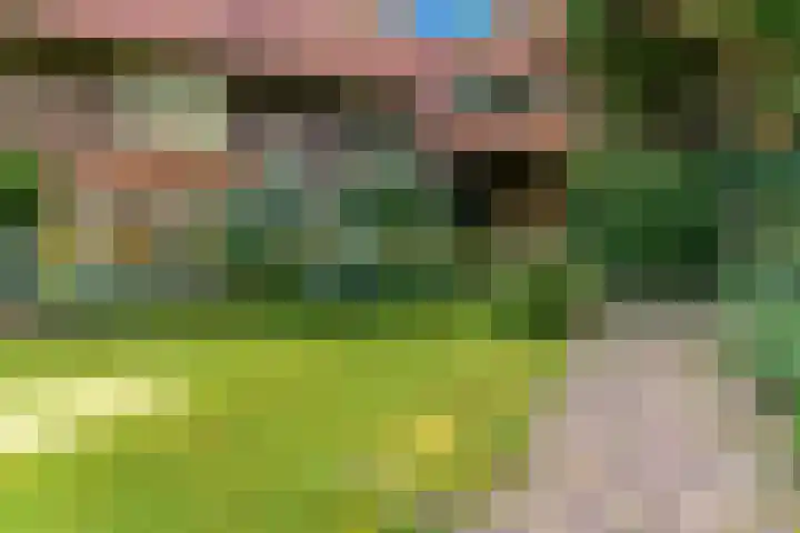 Dr. Nolenslaan 10 Amersfoort thumbnail 6