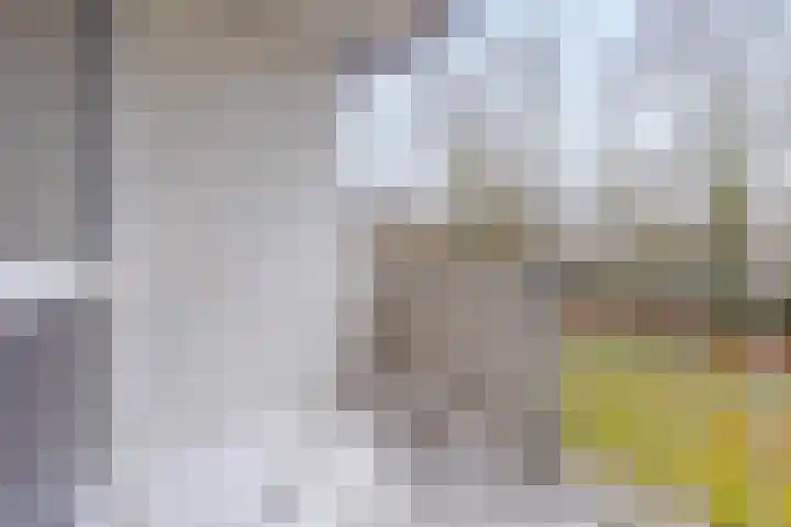 Dr. Nolenslaan 100 I Sittard thumbnail 23