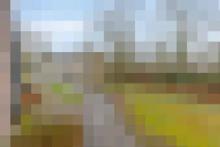 Dr. Nolenslaan 100 I Sittard thumbnail 24