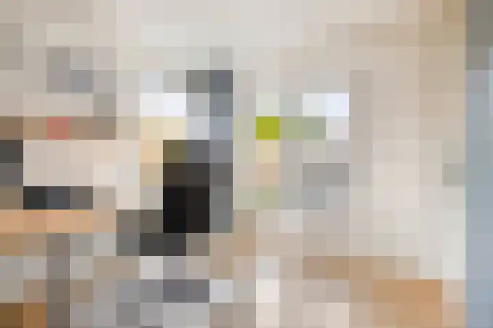 Dr. Nolenslaan 23 Geleen thumbnail 21