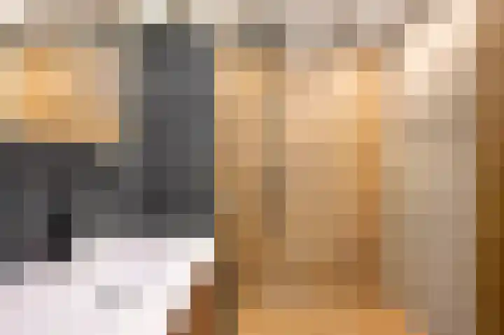 Dr. Nolenslaan 23 Geleen thumbnail 31
