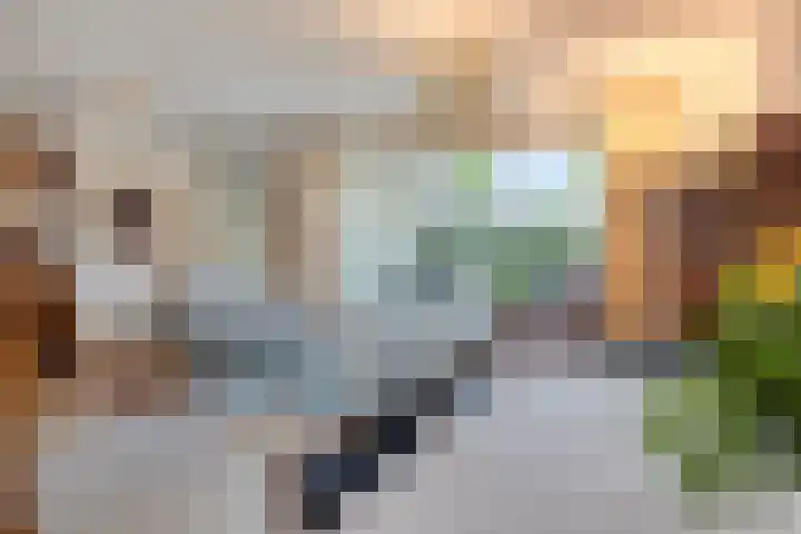 Dr.Nolenslaan 28 Melick thumbnail 10