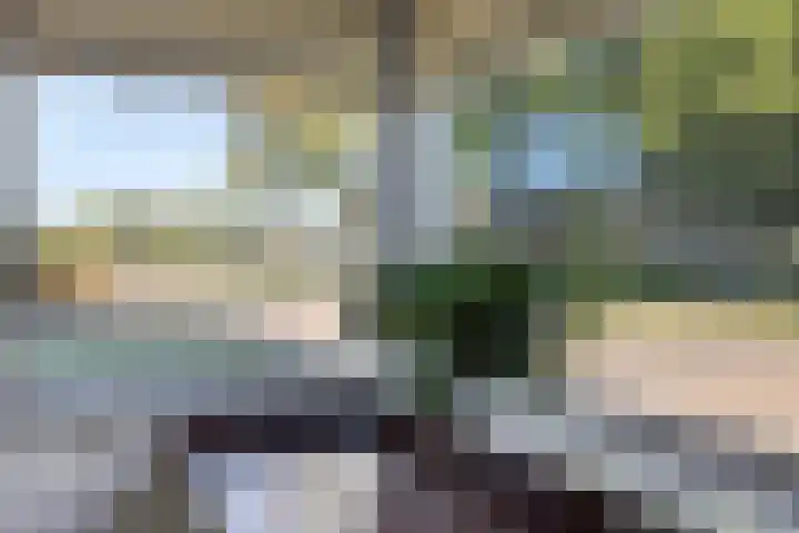 Dr.Nolenslaan 28 Melick thumbnail 11