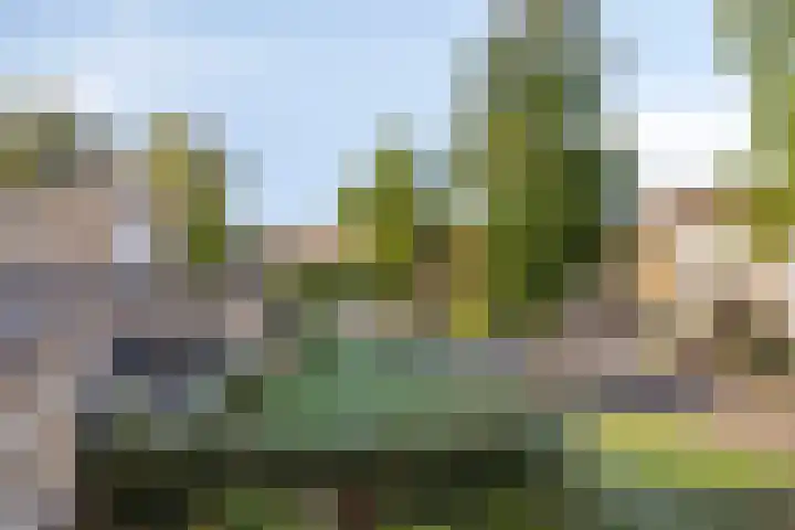 Dr.Nolenslaan 28 Melick thumbnail 19