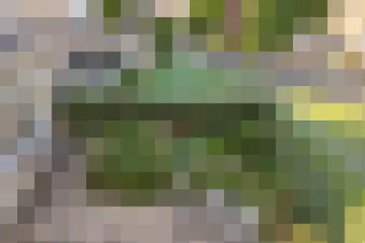 Dr.Nolenslaan 28 Melick thumbnail 20