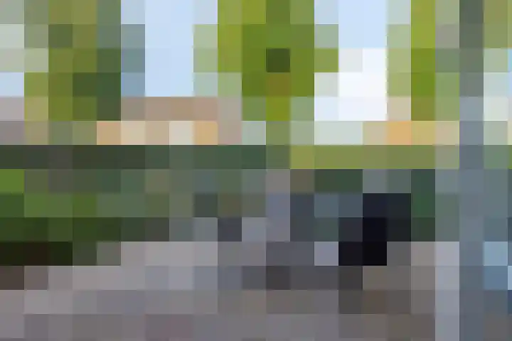 Dr.Nolenslaan 28 Melick thumbnail 24