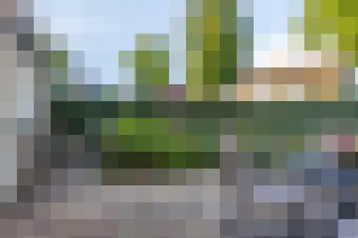 Dr.Nolenslaan 28 Melick thumbnail 25