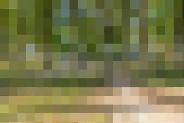 Dr.Nolenslaan 28 Melick thumbnail 30