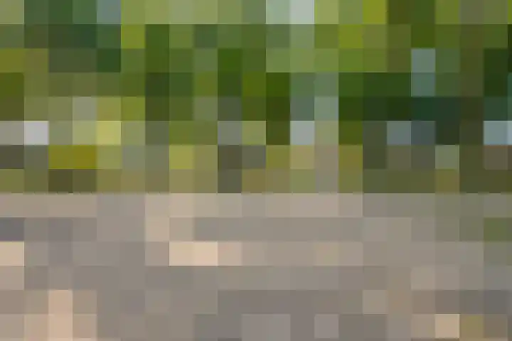 Dr.Nolenslaan 28 Melick thumbnail 31