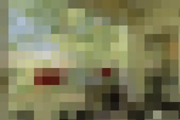 Dr. Nolenslaan 50 Sittard thumbnail 14