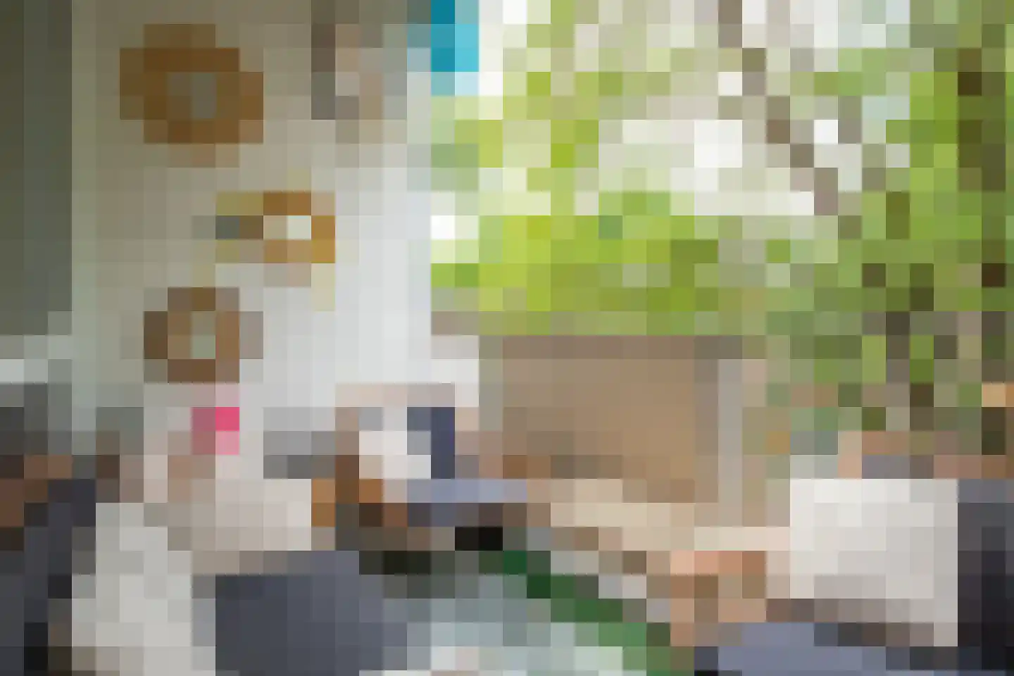 Dr. Nolenslaan 60 II Sittard thumbnail 11