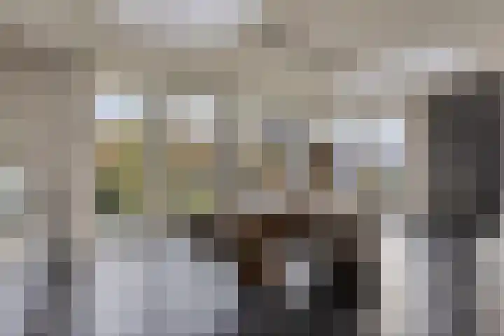 Dr. Nolenslaan 62 Geleen thumbnail 18