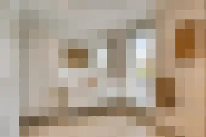 Dr. Nolenslaan 62 Geleen thumbnail 34